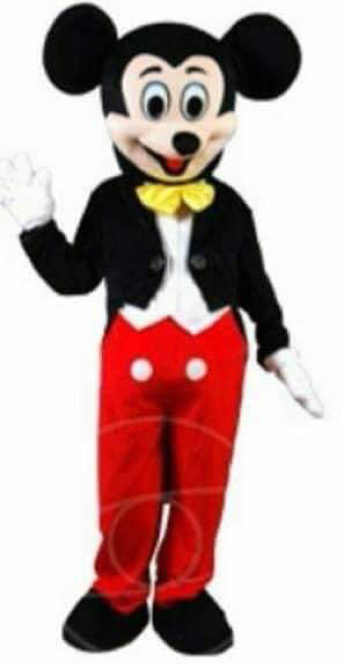 "Mickey Mouse Clubhouse" Mascot Reservation