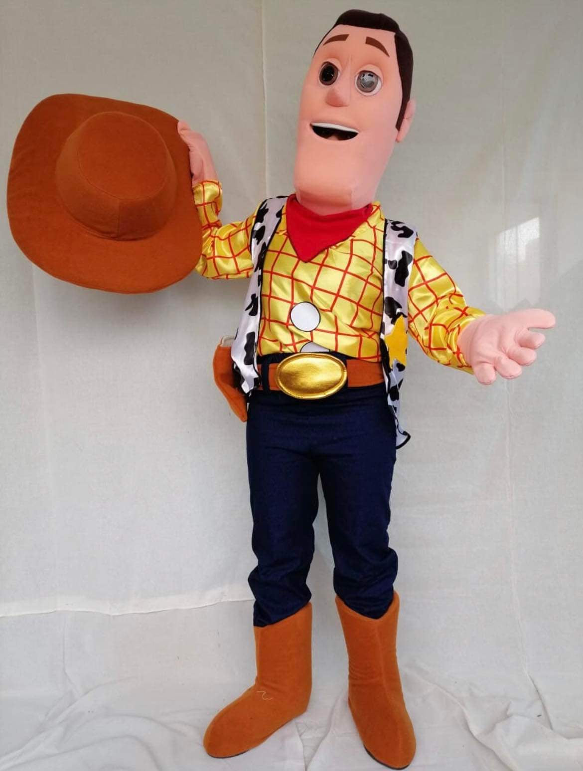 "Toy Story" Mascot Reservation