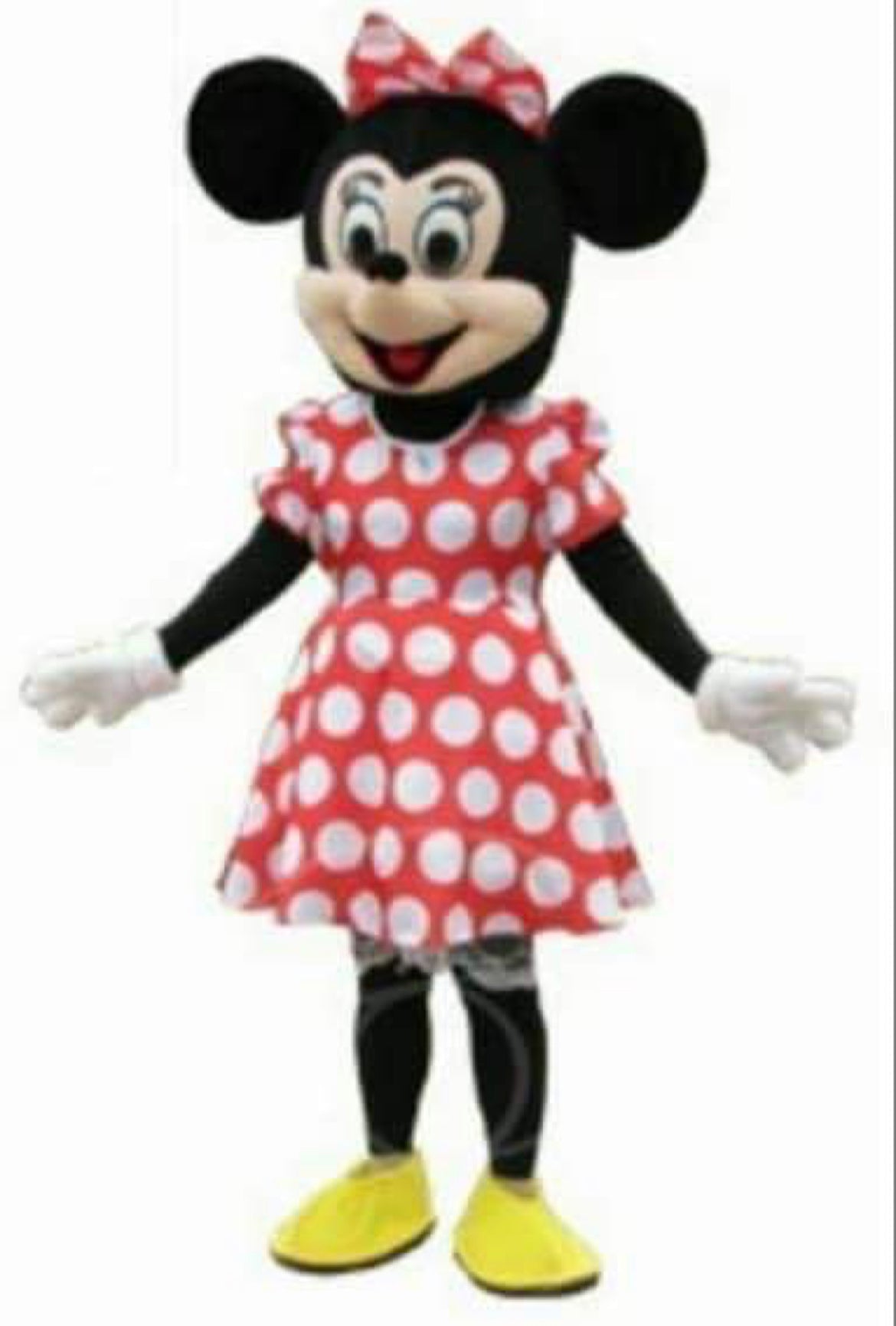 "Mickey Mouse Clubhouse" Mascot Reservation