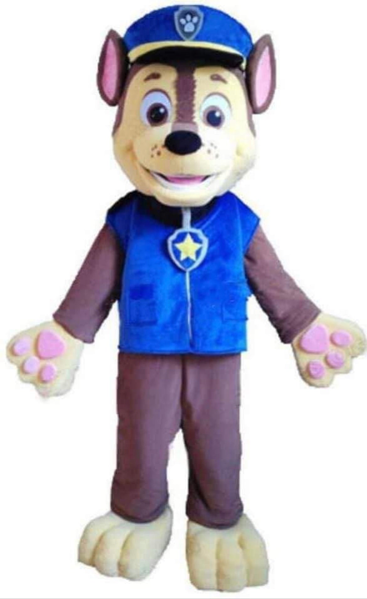 "Paw Patrol" Mascot Reservation