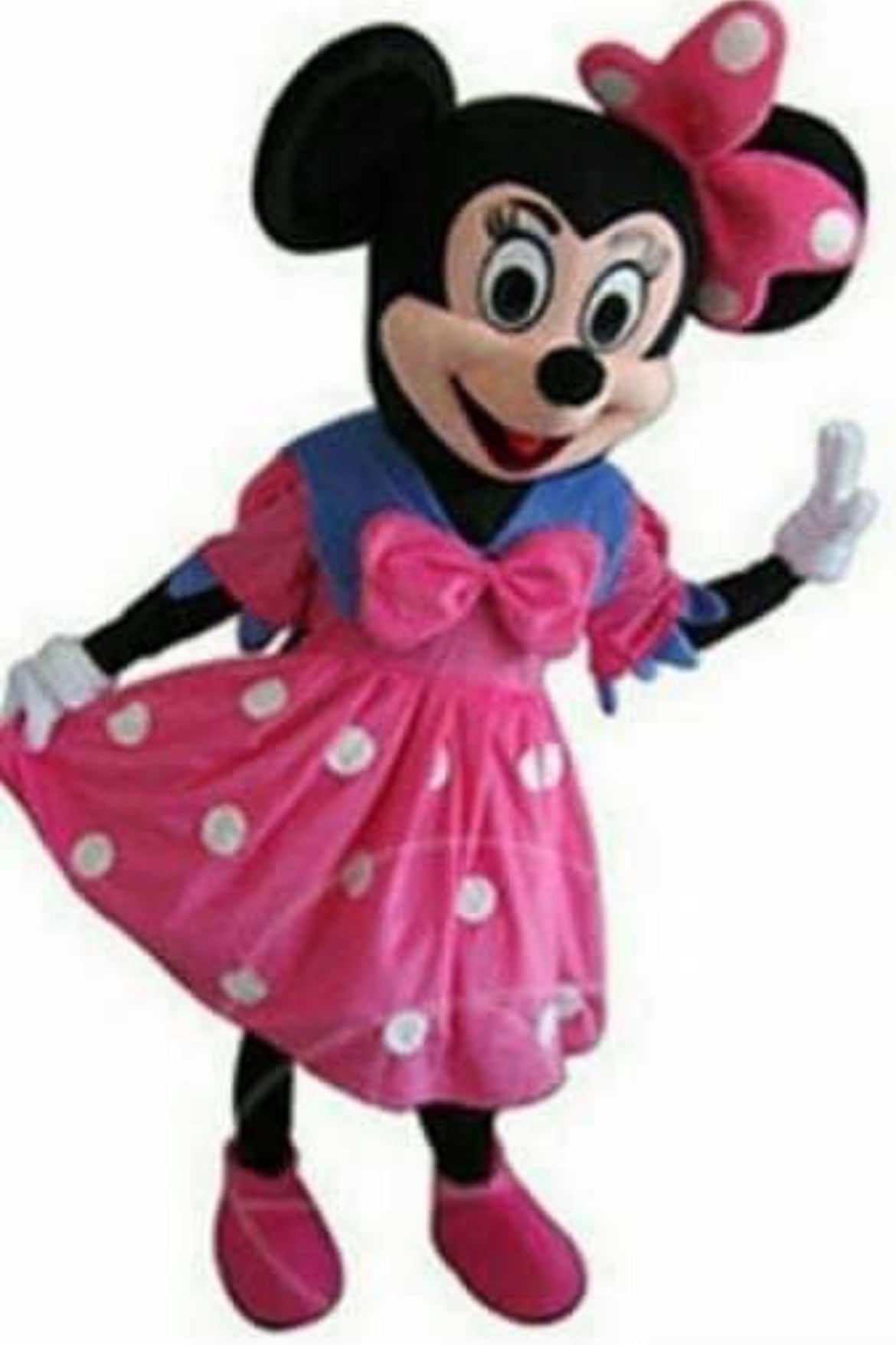"Mickey Mouse Clubhouse" Mascot Reservation