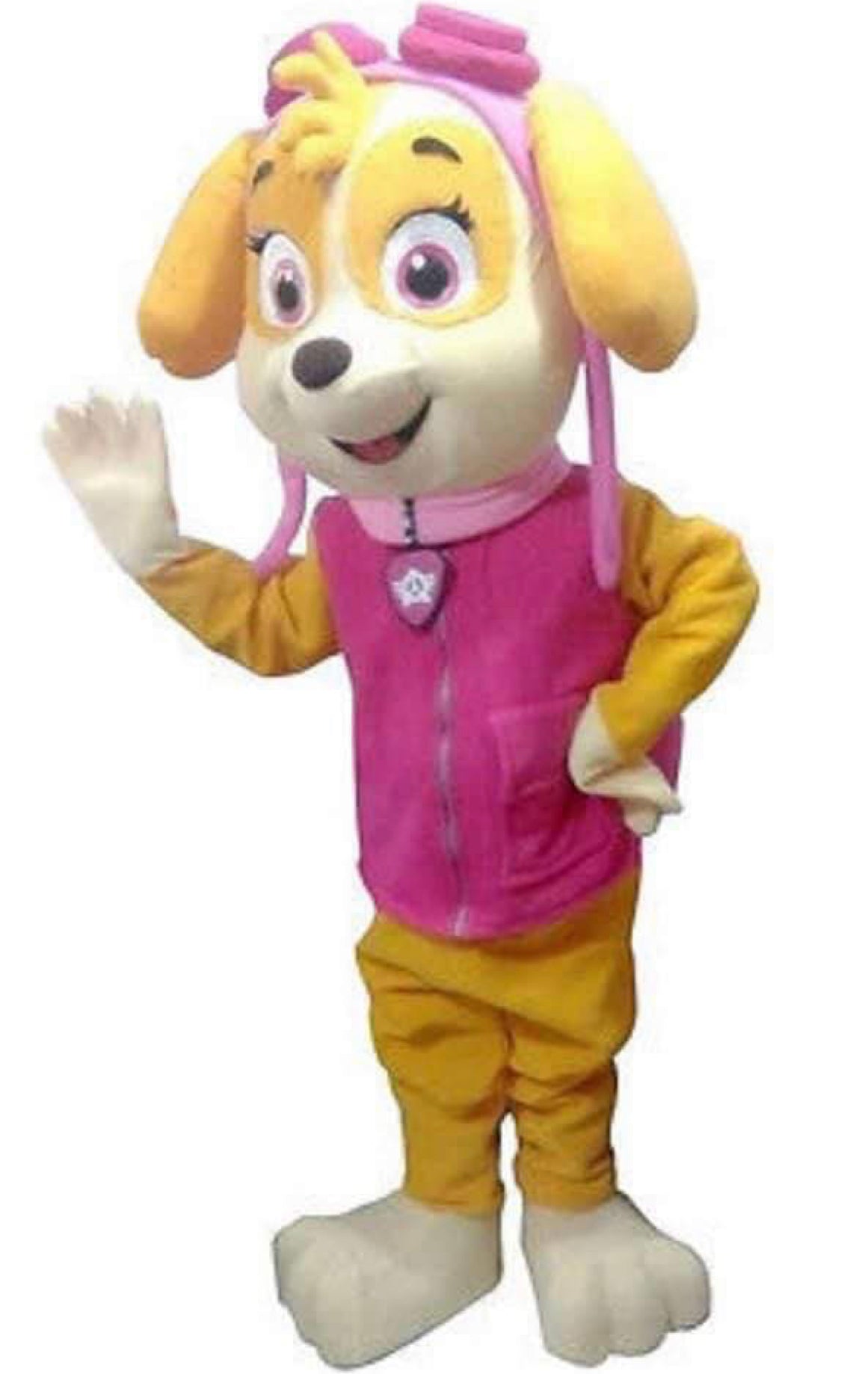 "Paw Patrol" Mascot Reservation