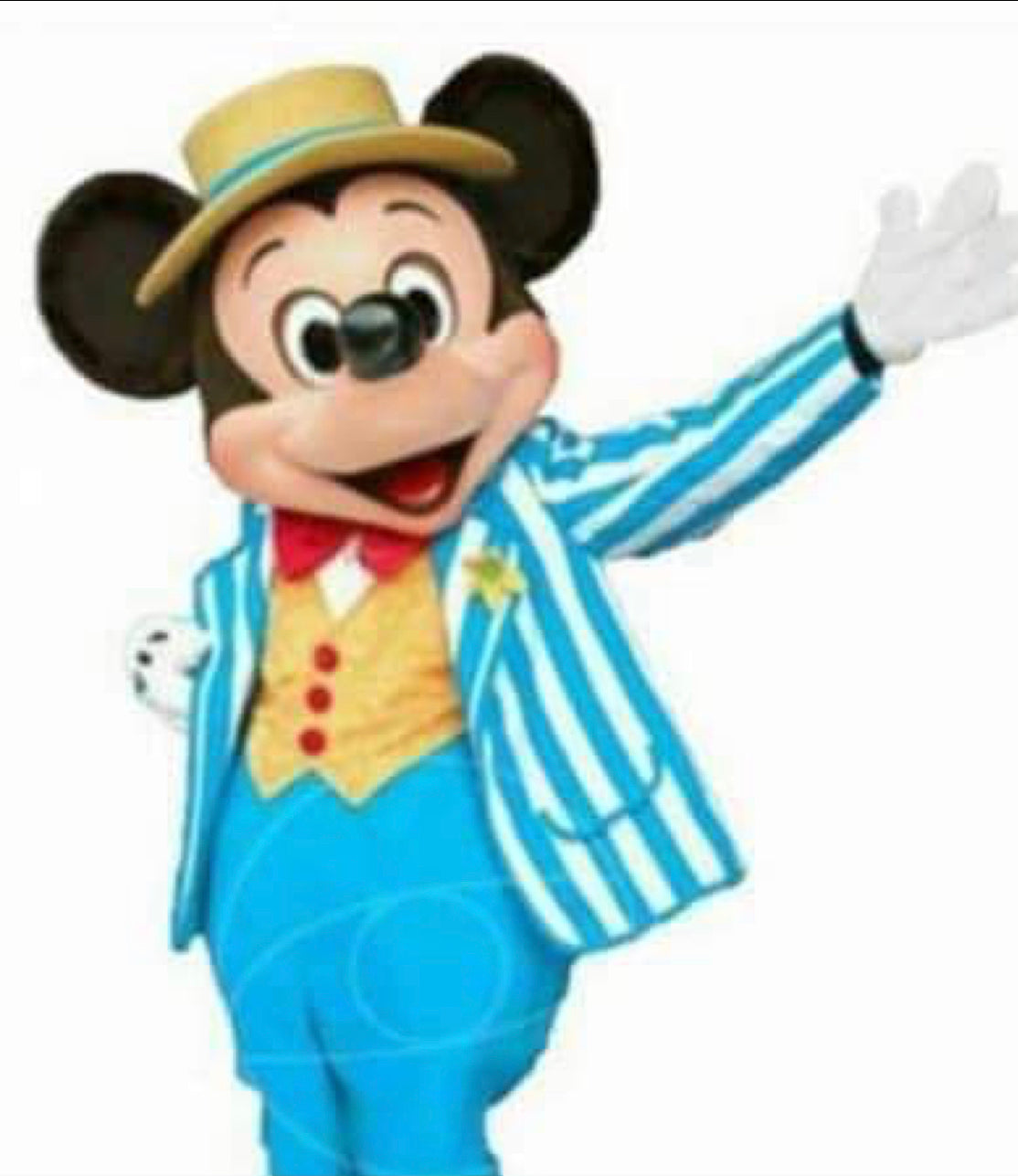 "Mickey Mouse Clubhouse" Mascot Reservation