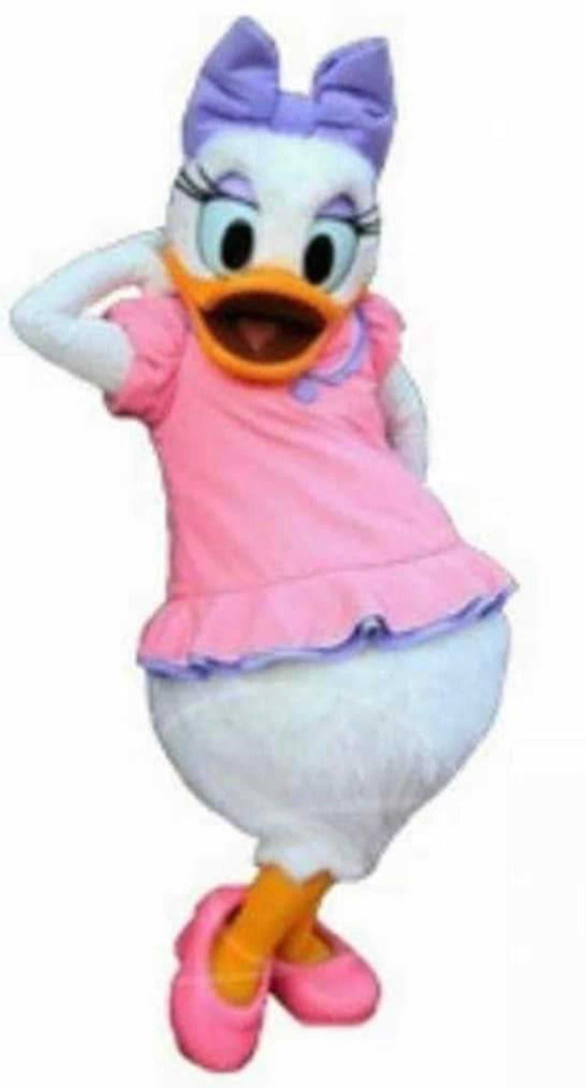 "Mickey Mouse Clubhouse" Mascot Reservation