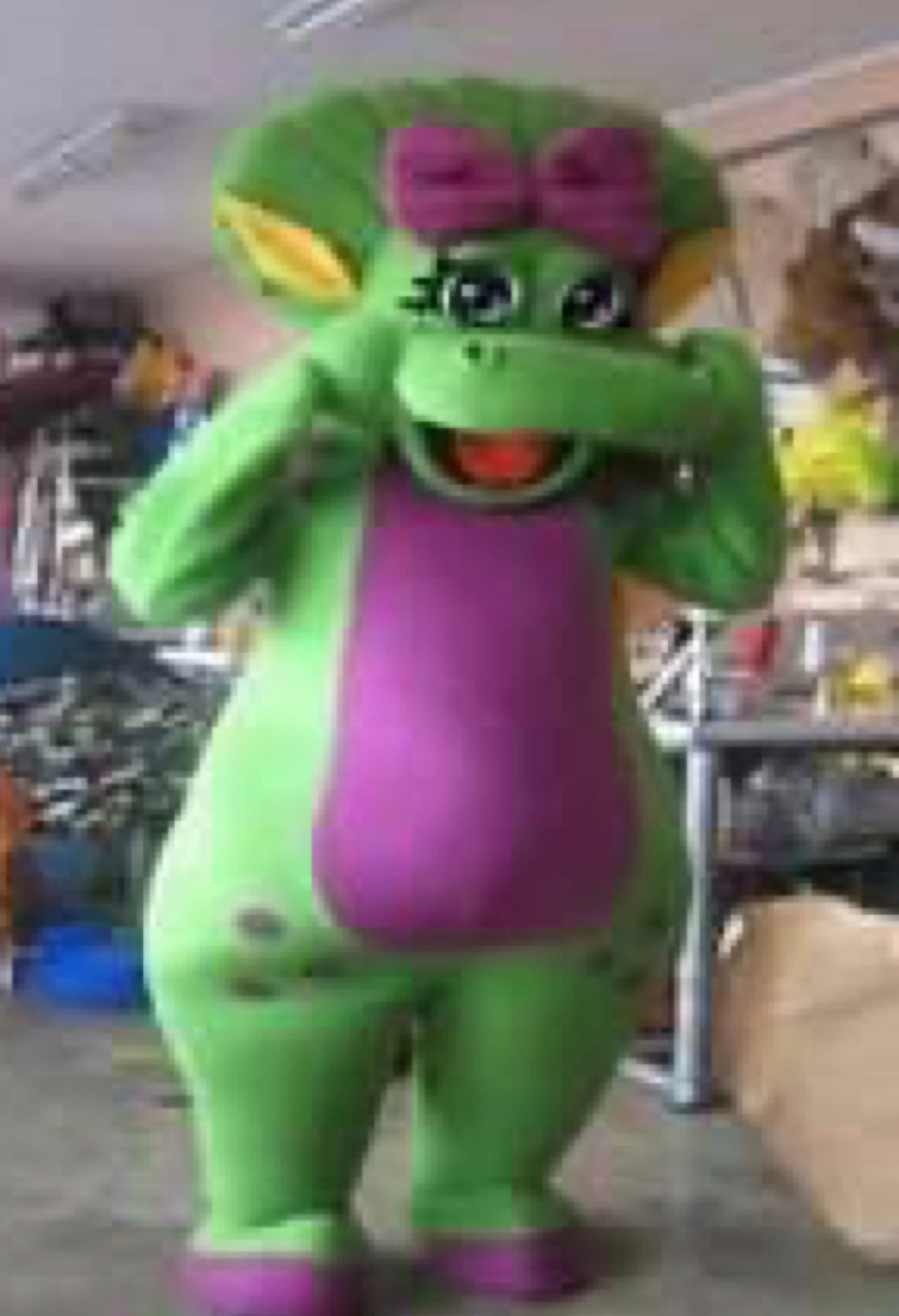 "Barney & Friends" Mascot Reservation