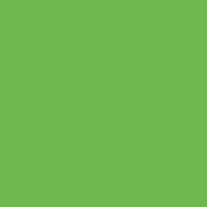 Green Apple Easyweed Siser Vinyl
