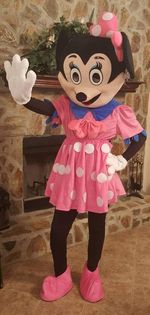 Mascot Reservation