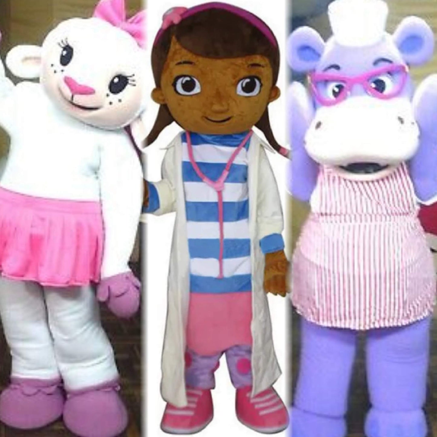 Mascot Reservation