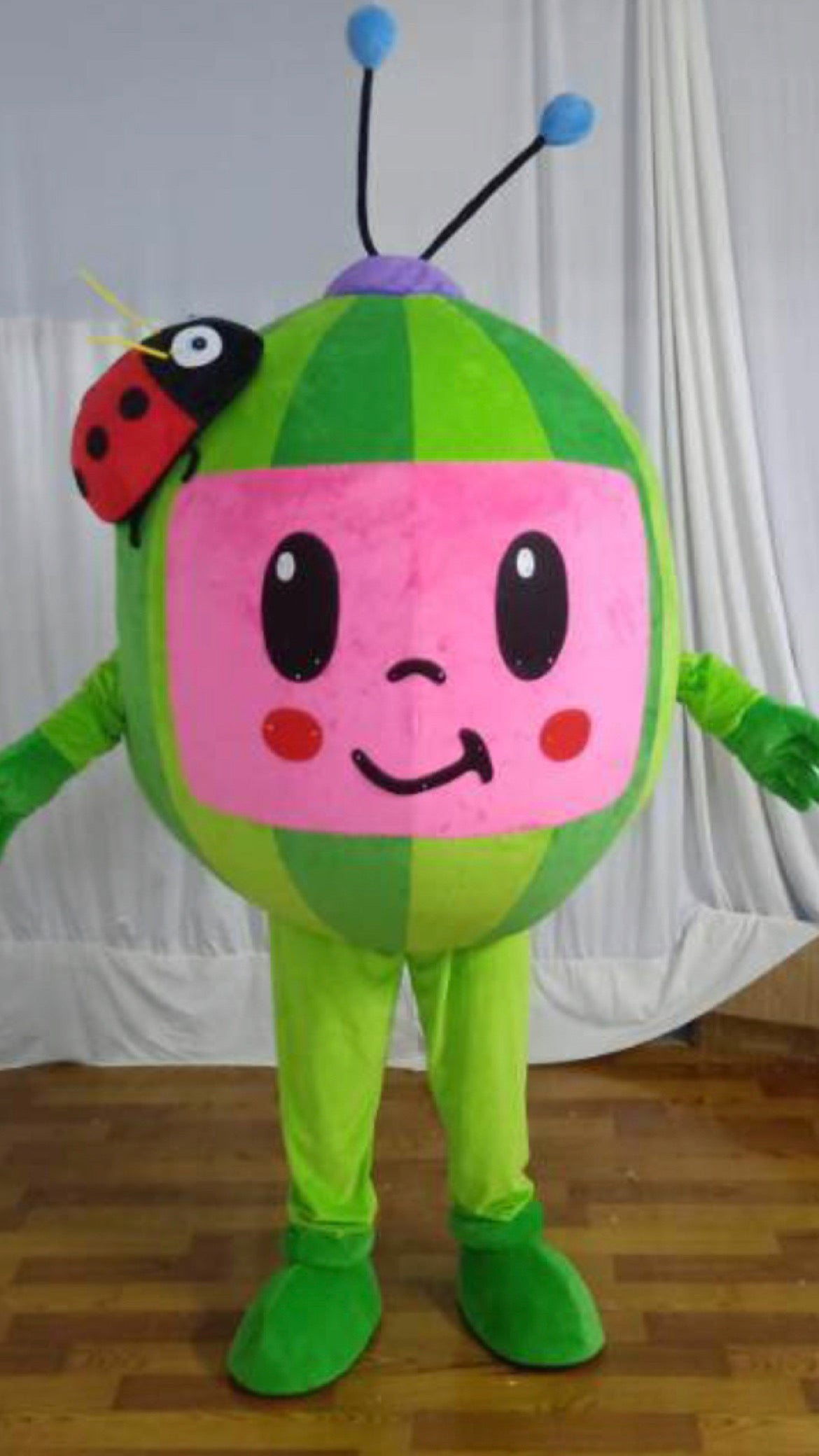 "Cocomelon" Mascot Reservation