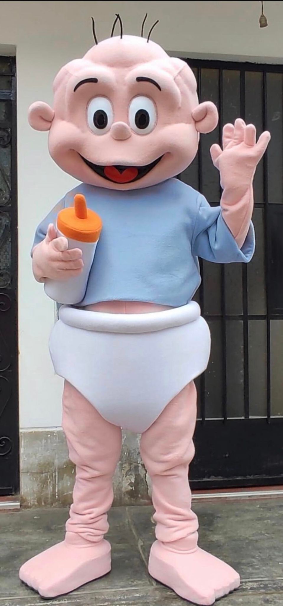 Mascot Reservation